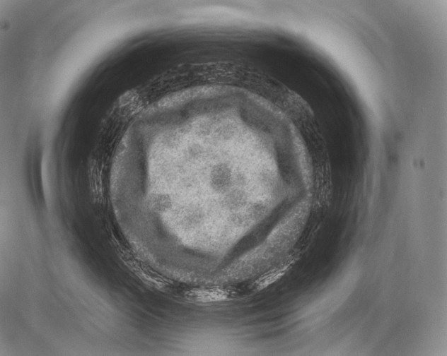 X0000082760765200702240104