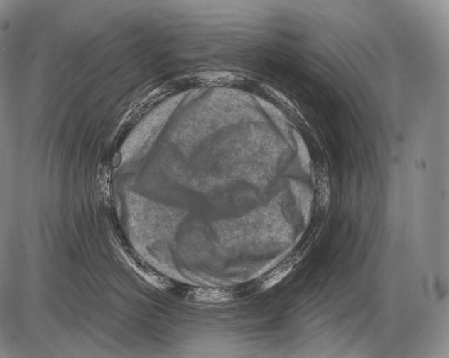 X0000082760766200702240104