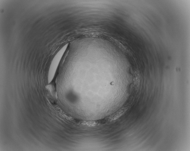 X0000082760767200702240104