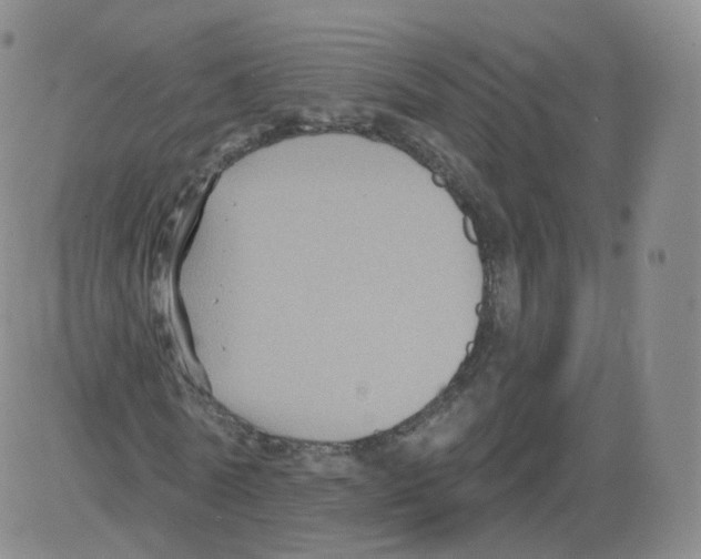 X0000082760770200702240104