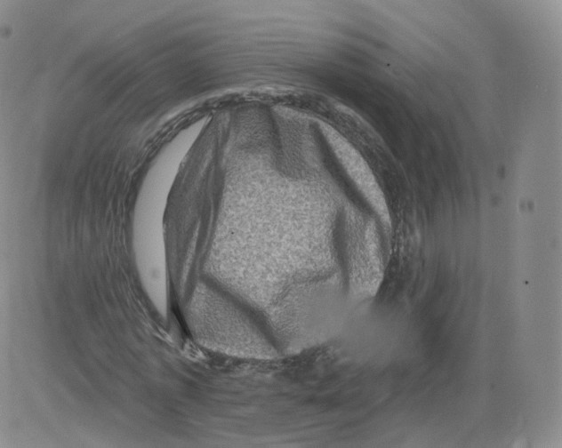 X0000082760773200702240104