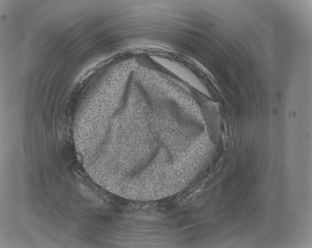 X0000082760775200702240103