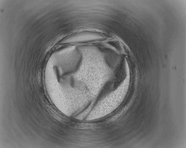 X0000082760777200702240103