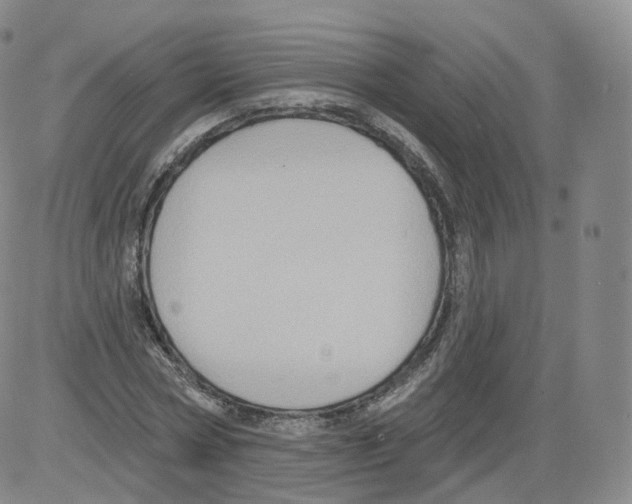 X0000082760778200702240103