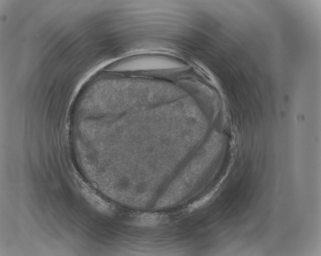 X0000082760779200702240103