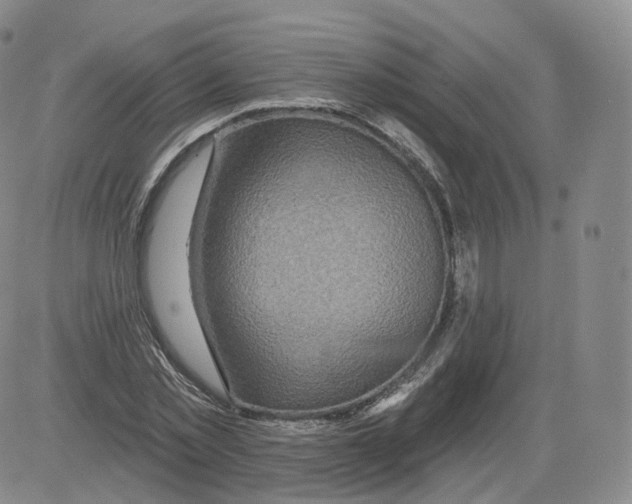 X0000082760781200702240103