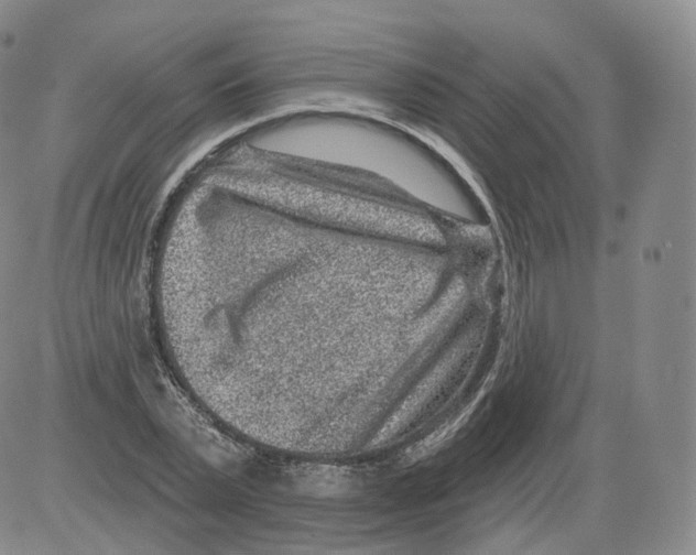 X0000082760783200702240103