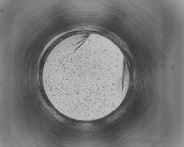 X0000082760784200702240103