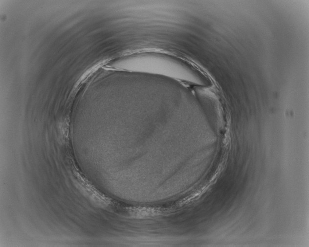 X0000082760785200702240103