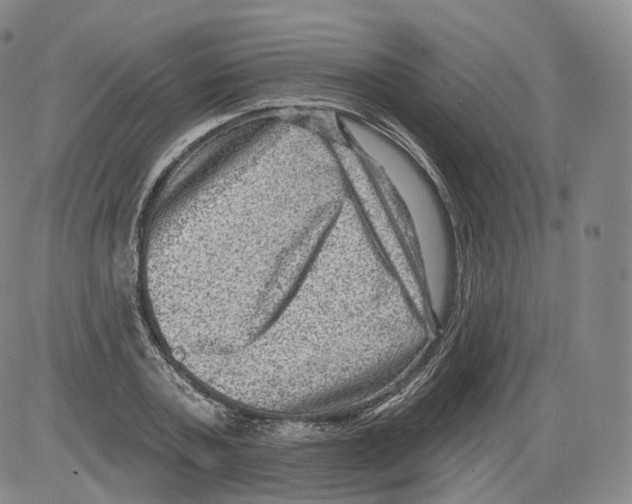 X0000082760787200702240103