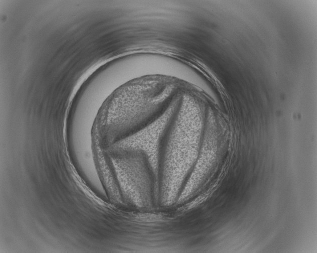 X0000082760788200702240103