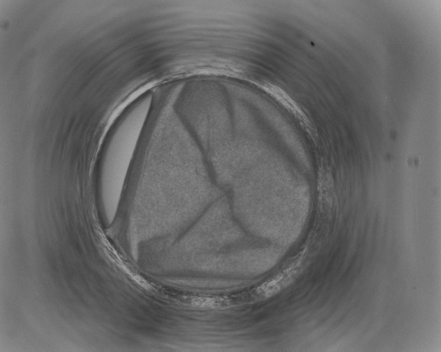 X0000082760790200702240103