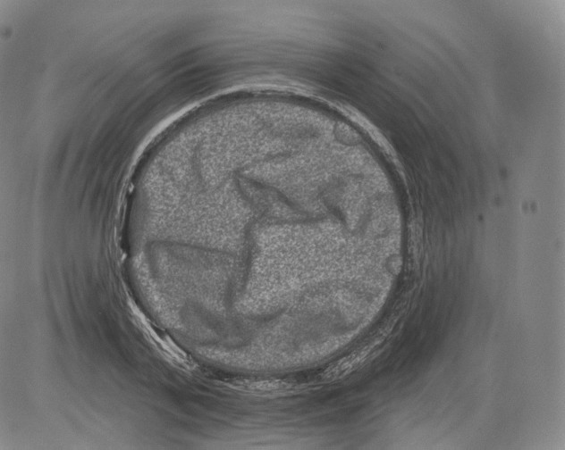 X0000082760791200702240103