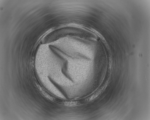 X0000082760793200702240103