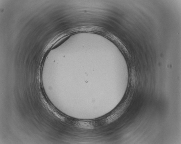 X0000082760794200702240103