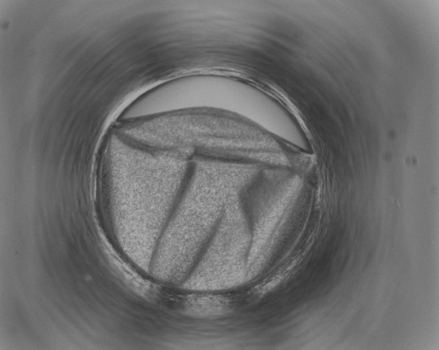 X0000082760795200702240103