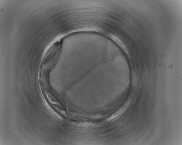 X0000082760797200702240103