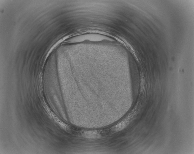 X0000082760798200702240103