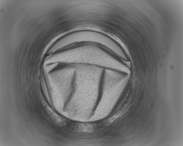 X0000082760799200702240103