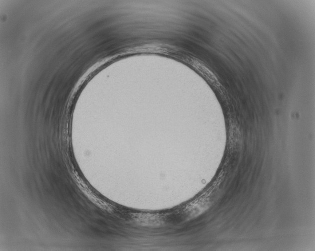 X0000082760800200702240103