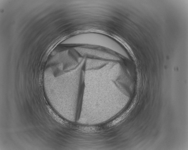 X0000082760801200702240103