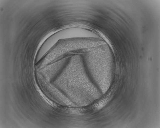 X0000082760803200702240103