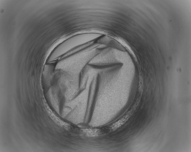 X0000082760805200702240103