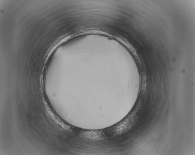 X0000082760806200702240103