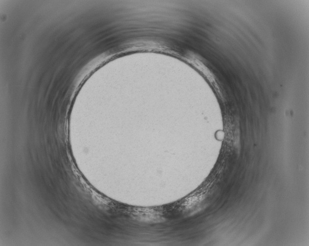 X0000082760807200702240103