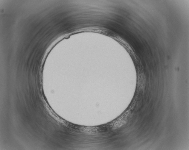 X0000082760808200702240103