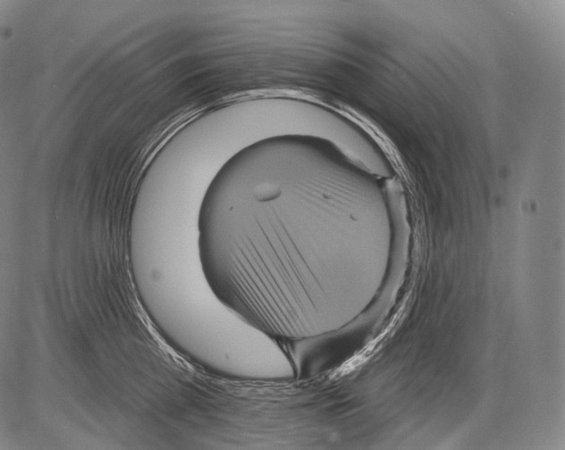 X0000082760809200702240103