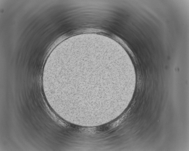 X0000082760810200702240103