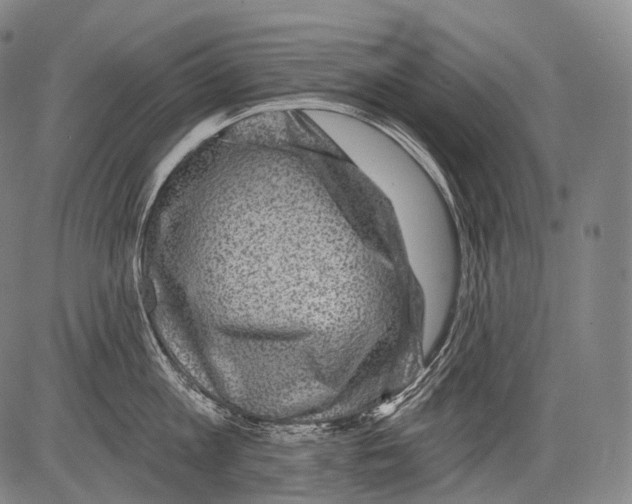 X0000082760813200702240103