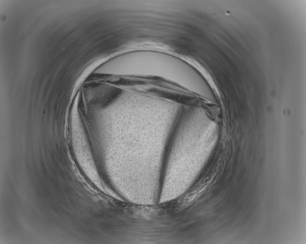 X0000082760815200702240103