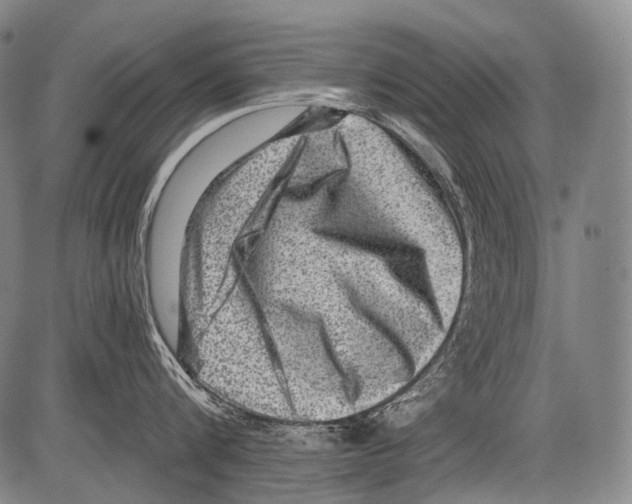 X0000082760816200702240103