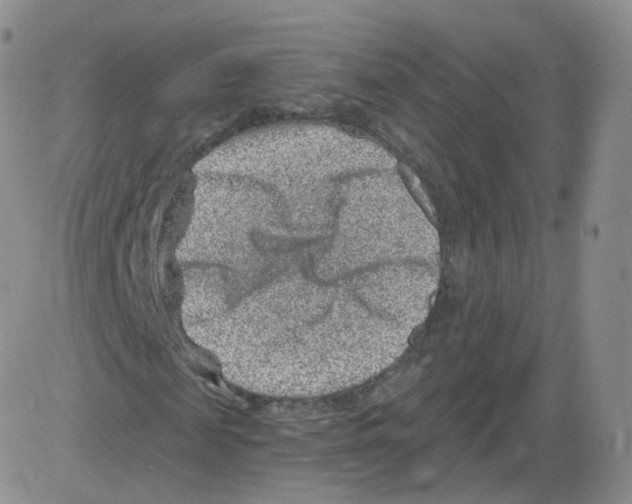 X0000082760817200702240102