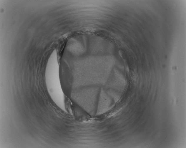 X0000082760818200702240102