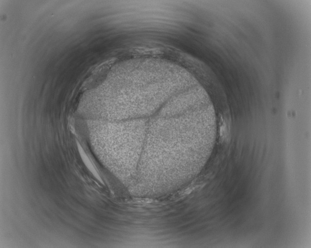 X0000082760819200702240102