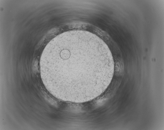 X0000082760820200702240102