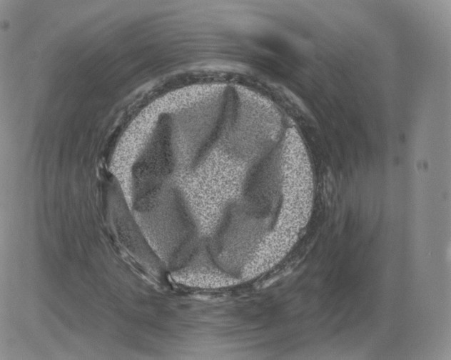 X0000082760821200702240102