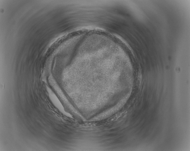 X0000082760823200702240102