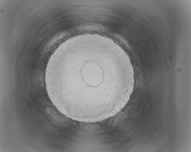 X0000082760824200702240102