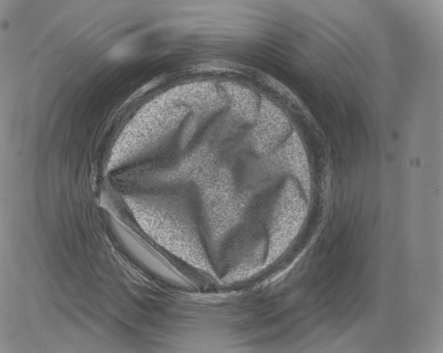 X0000082760825200702240102