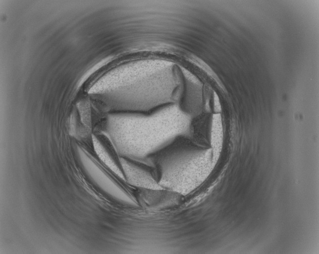 X0000082760826200702240102