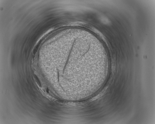 X0000082760827200702240102