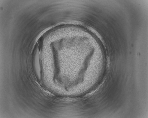 X0000082760829200702240102