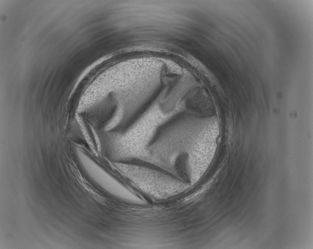 X0000082760830200702240102