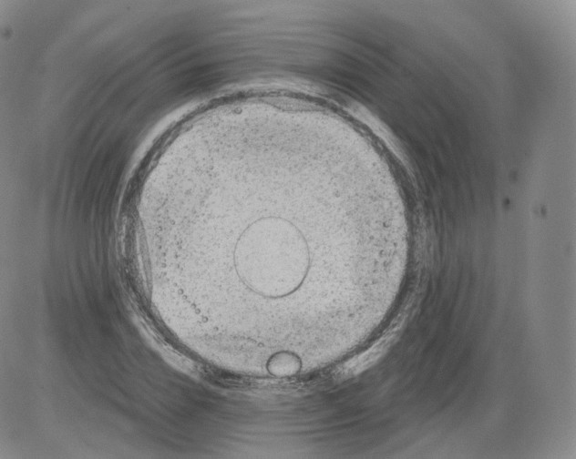 X0000082760832200702240102