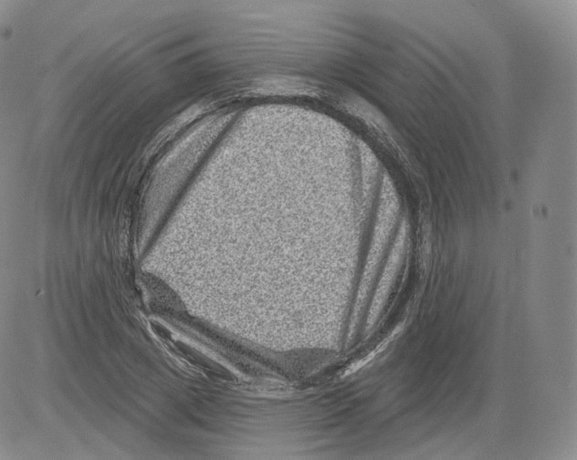 X0000082760833200702240102