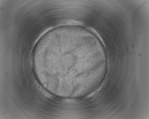 X0000082760835200702240102